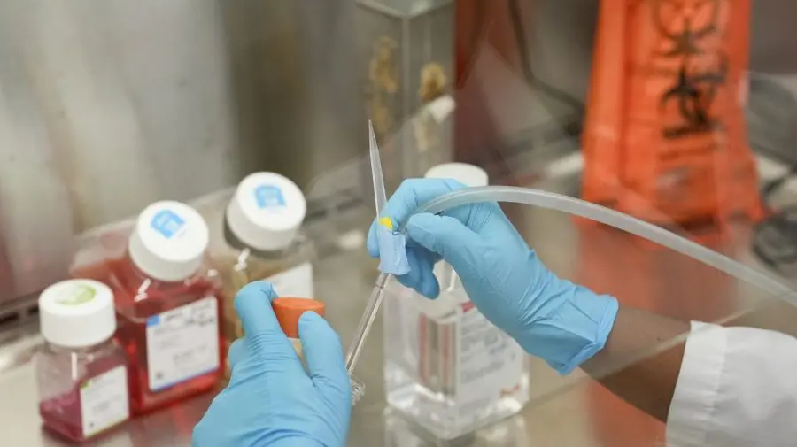 Pharma warns tariffs mean less R&D