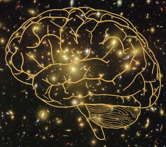 Seven-Year Experiment Uncovers New Insights into Nature of Consciousness