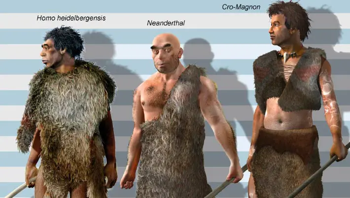 Modern Humans Descended from Two Ancestral Populations, New Study Suggests