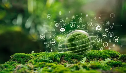 ‘Green’ Tariffs and the Persistence of ESG
