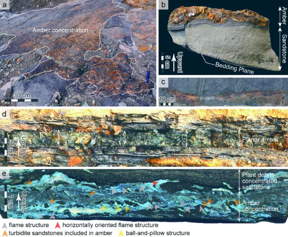 Amber in Cretaceous Sea Deposits Contains Traces of Ancient Large-Scale Tsunamis