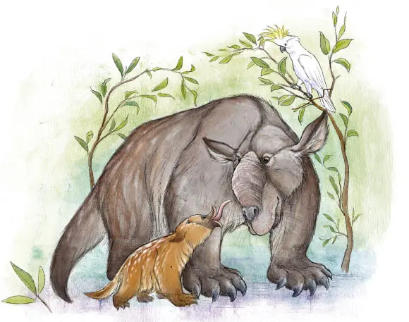 Paleontologists Find New Biomarkers to Identify Megafauna Species in Australia’s Fossil Record