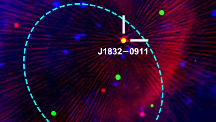 Radio Wave-Ray-Emitting Star is Unlike Anything Astronomers Have Seen in Our Galaxy