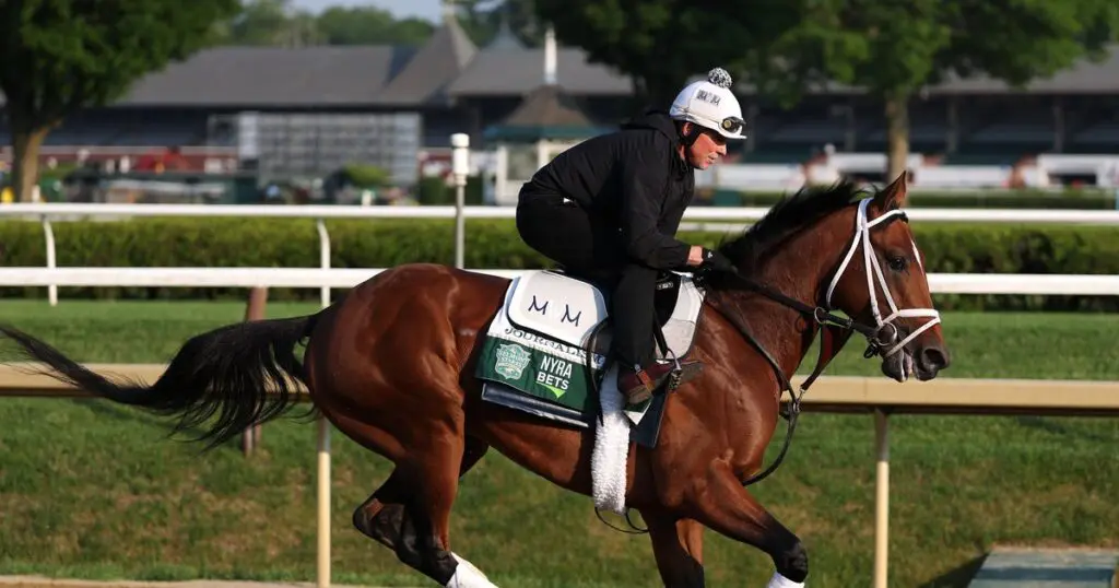Meet the horses running in the Belmont Stakes