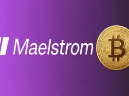 Maelstrom Announces Its Fourth Bitcoin Developer Grant Recipient