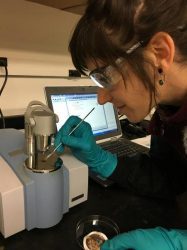 Multiple lab analyses of Antarctic minerals offer a better understanding of Mars