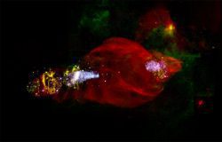 Astronomers Find Evidence for Unusual Particle Acceleration in Manatee Nebula