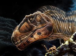 Newly Discovered Dinosaur Has Short Arms Like The T. Rex
