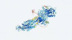 DeepMind AI has discovered the structure of nearly every protein known to science
