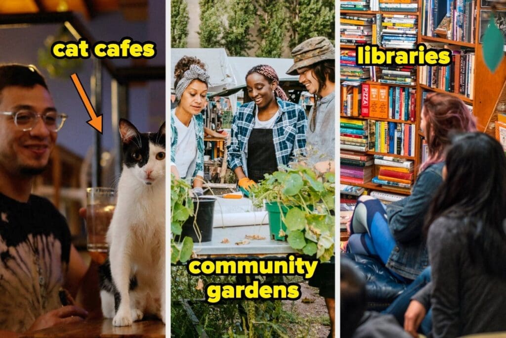 Dog Parks, Libraries, And 13 Other “Third Spaces” That Are Completely Underutilized