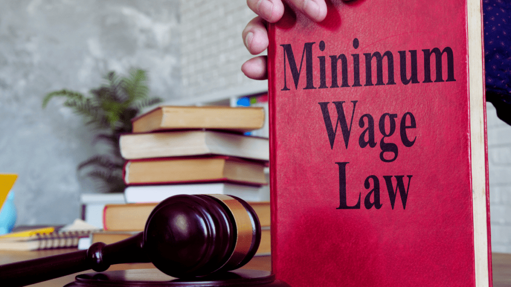 Eustace Davie: The fatal flaw with minimum wage policies