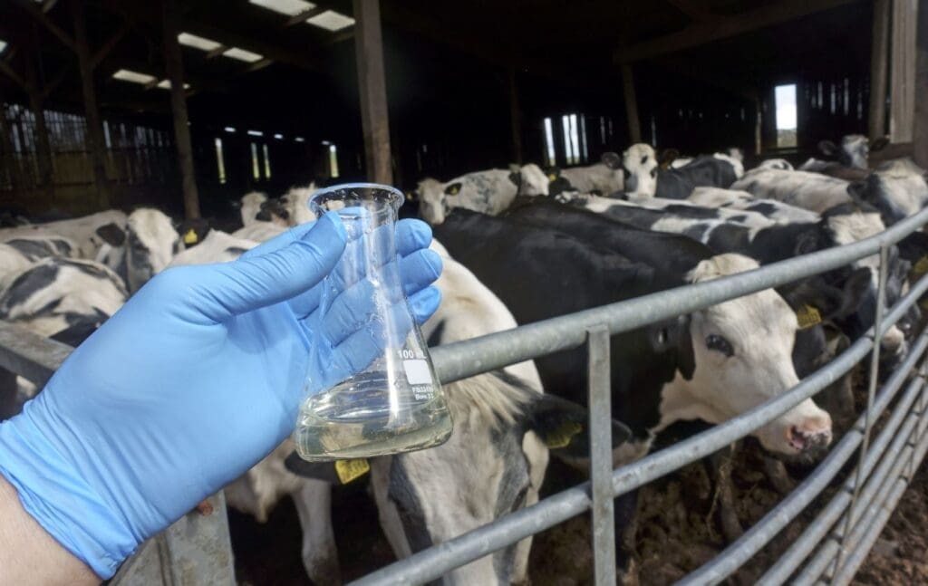 Business giants pile on pressure to cut antibiotics in global food chain