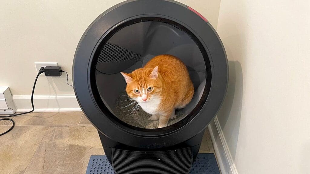 This self-cleaning litter box changed my life, and it’s still discounted for October Prime Day