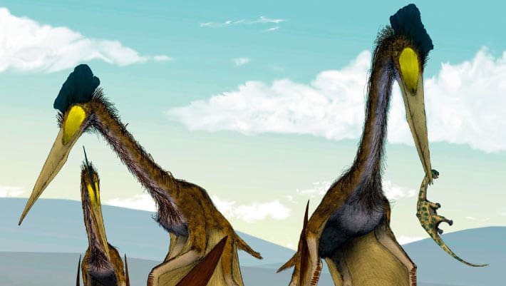 New Pterosaur Species Discovered in Japan