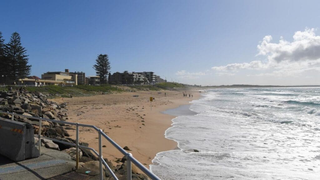 Mysterious bone found on Sydney beach prompts investigation