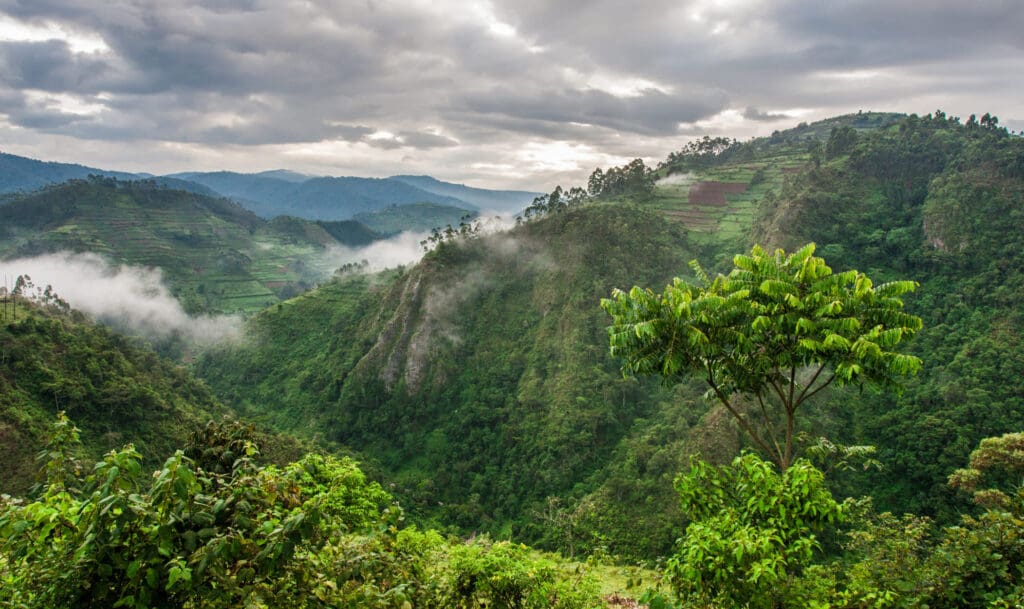 Violence, Minerals, and the Inevitable in Central Africa