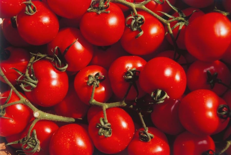 Tomatoes sold at Gordon Food Service recalled due to possible salmonella contamination