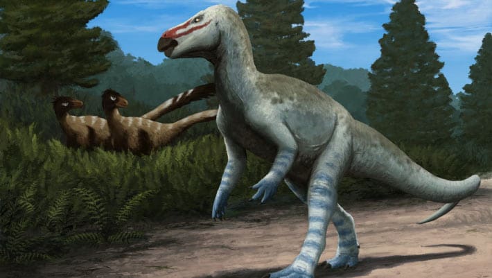 paleontologists-describe-new-species-of-rhabdodontid-dinosaur.jpg Paleontologists Describe New Species of Rhabdodontid Dinosaur