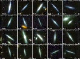 Webb Sheds New Light on Structural Evolution of Disk Galaxies