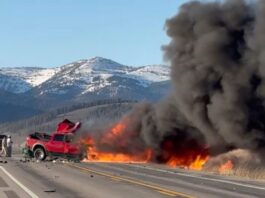 Driver who caused fiery crash that killed 6 tourists outside Yellowstone had BAC twice the legal limit: cops