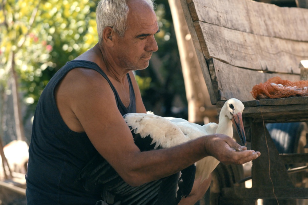 Venice and Toronto-Bound ‘The Tale of Silyan,’ From Director of Double Oscar-Nominated ‘Honeyland,’ Boarded by Dogwoof (EXCLUSIVE)