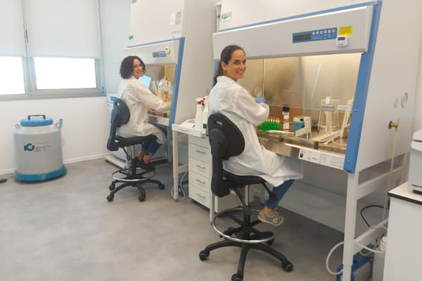 Israeli biotech company to conduct first human transplant of lab-grown spinal cord