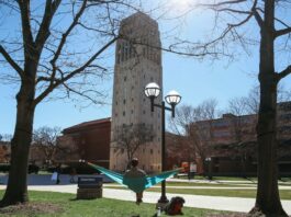 Gen Z professionals are flocking to Ann Arbor instead of big cities