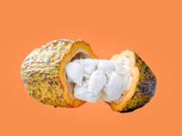 Nestlé invents novel cocoa technique amid chocolate crisis