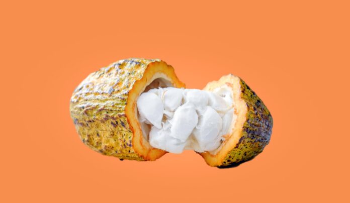 Nestlé invents novel cocoa technique amid chocolate crisis