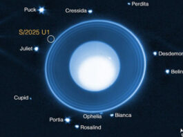 Webb Discovers New Moon around Uranus